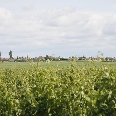 Pension & Weingut Storchenblick Ильмиц Экстерьер фото