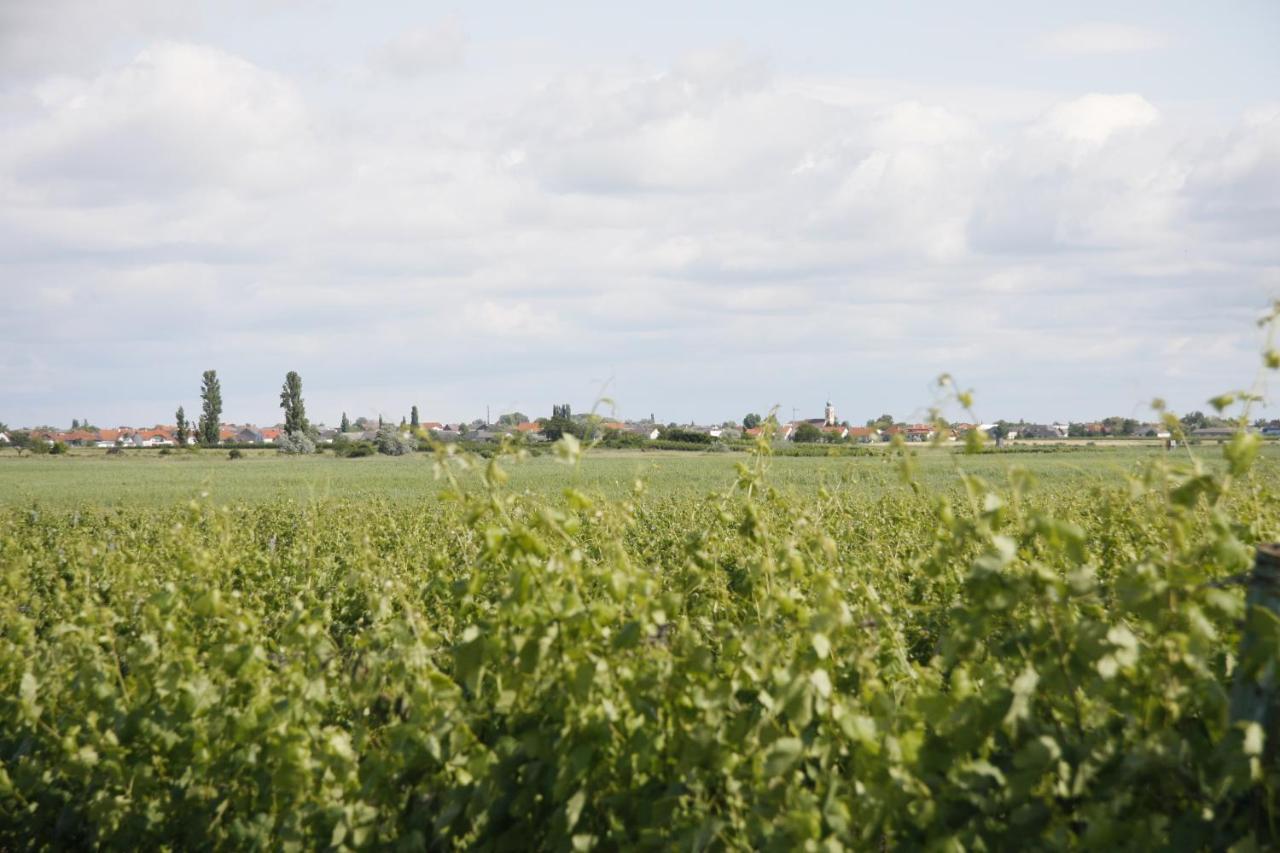 Отель Pension & Weingut Storchenblick Ильмиц Экстерьер фото